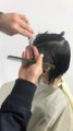 How to cut a Creative bob Haircut step by Step