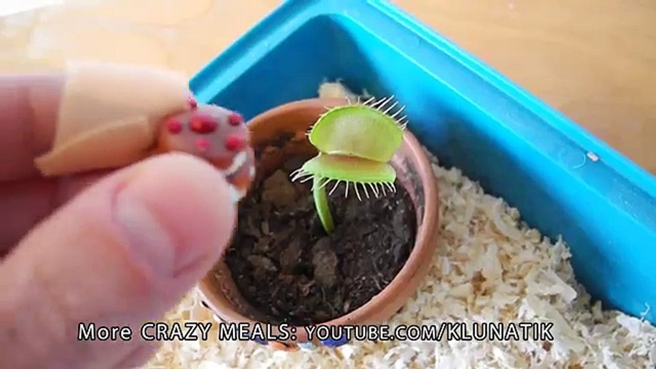 BEST OFF KLUNA TIK |#21 KLUNATIK COMPILATION ASMR eating sounds no talk
