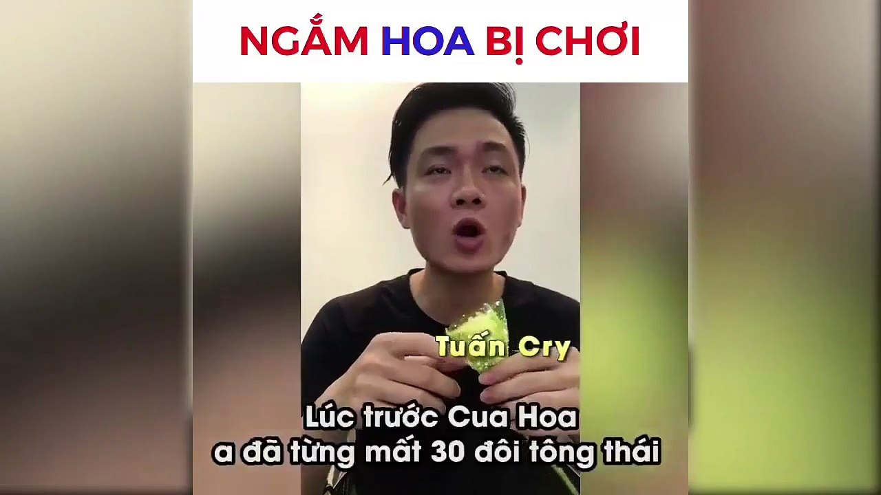 ngam hoa bi choi