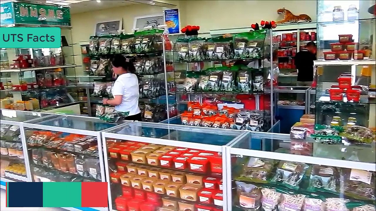 Amazing Facts about North korea in Urdu Hindi - History of North Korea