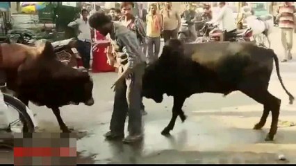 Best Funny Videos of 2018- Whatsapp Funny Videos - Try Not To Laugh Funny Indian videos