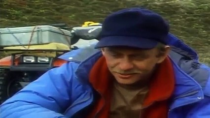 The Mysterious White Wolf