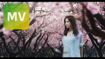 林采欣 Bae Lin《雲中書 Letters from the Clouds》 電視劇上古情歌插曲 Official MV 【HD】