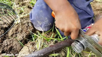 Amazing Smart Little Boy Catch Big Snakes Using Fa