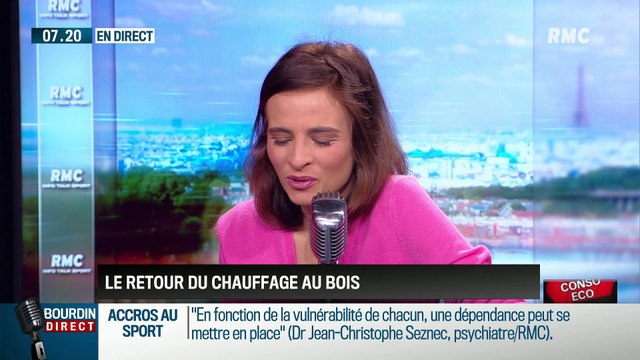 Dupin Quotidien: Le chauffage au bois a cartonné cet hiver - 13/04
