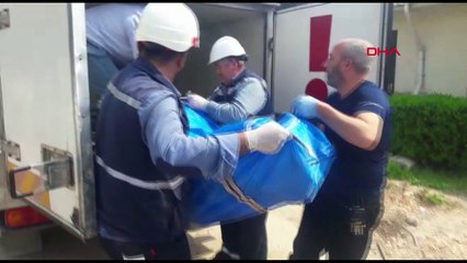 Hırsızlık için girdiği trafoda yanarak öldü