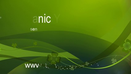 What Is Yoga? A Path to Transformation 🧘‍♂️