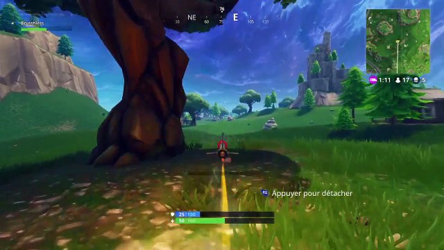 Gros bug sur fornite