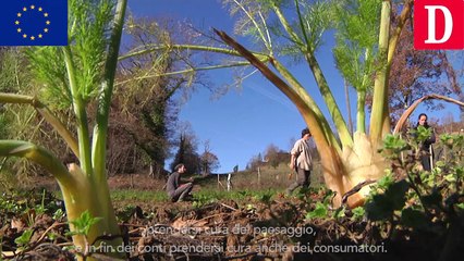 PAC : rencontre avec une maraîchère en Ariège (it)