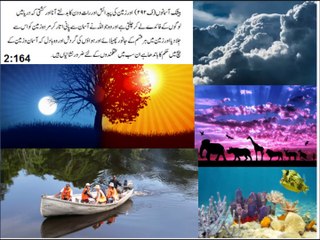 English LND,  lesson 12 with urdu translation