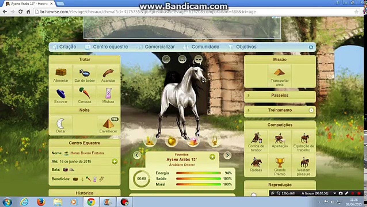 Meus cavalos do howrse
