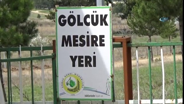 Bin 450 Rakımlı Gölcük Yaylası Ziyaretçilerini Bekliyor iha