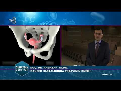 Kanser Türleri ve Tedavi Yöntemleri | Günaydın Doktor