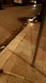 Andria: fontana perde acqua (che finisce in via Garibaldi)