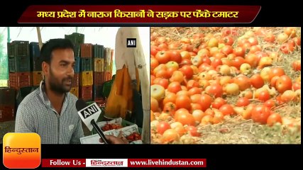 Скачать видео: Angry farmers dump tomatoes on road after being hit by poor prices