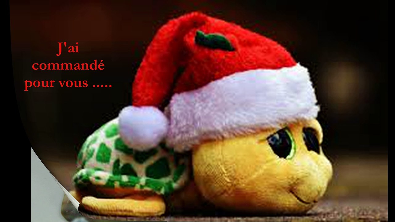 NOEL 2017