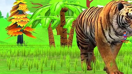 Learn Wild Animals On Banana Car Wheels On The Bus Nursery R