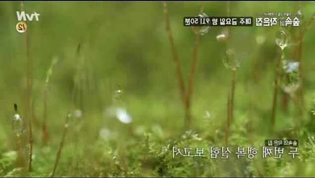 tvN 숲속의 작은집 2회 다시보기 2화 E02 4월13일 and mobile devices affect 숲속의 작은집 2회