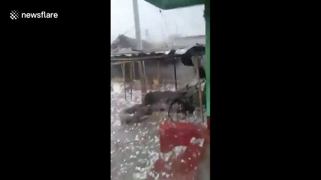 Hailstorm with stones the size of golf balls batters Indian village