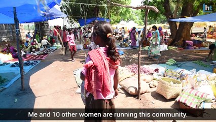 Kadaknath becoming new source of livelihood for Dantewada women