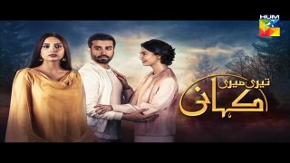 Teri Meri Kahani | Episode 16 | HUM TV Drama | 12 April 2018
