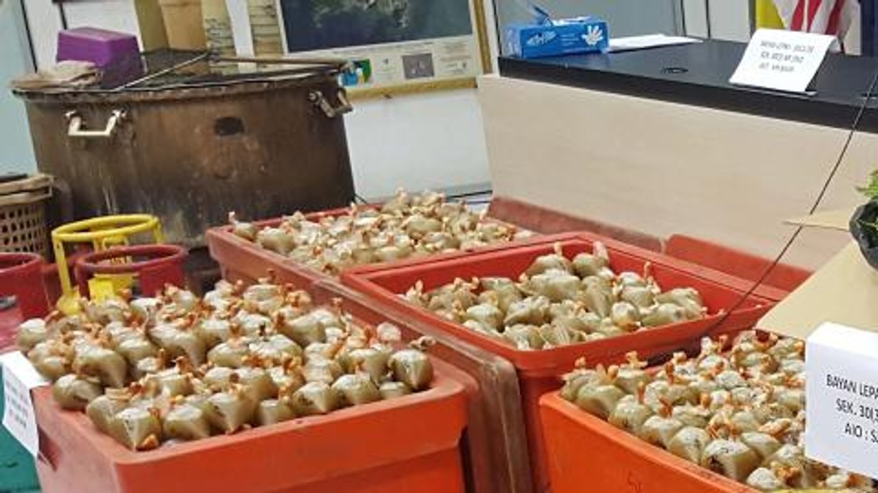 Six men arrested for processing ketum leaves