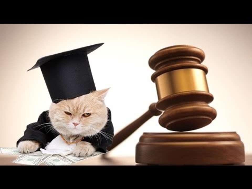 LOI ET LÉGISLATION SUR LES DETECTEURS DE METAUX