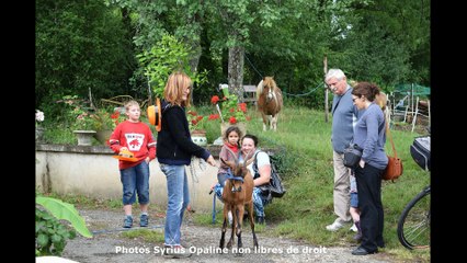 2017 Fête Syrius Opaline : Opus 3 Des adorables canetons