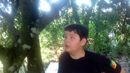 top 7 curiosidades sobre as batatas