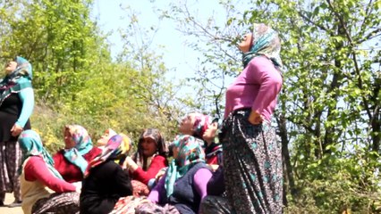 Haksızlığa uğradığı iddiasıyla elektrik direğine çıktı - DÜZCE