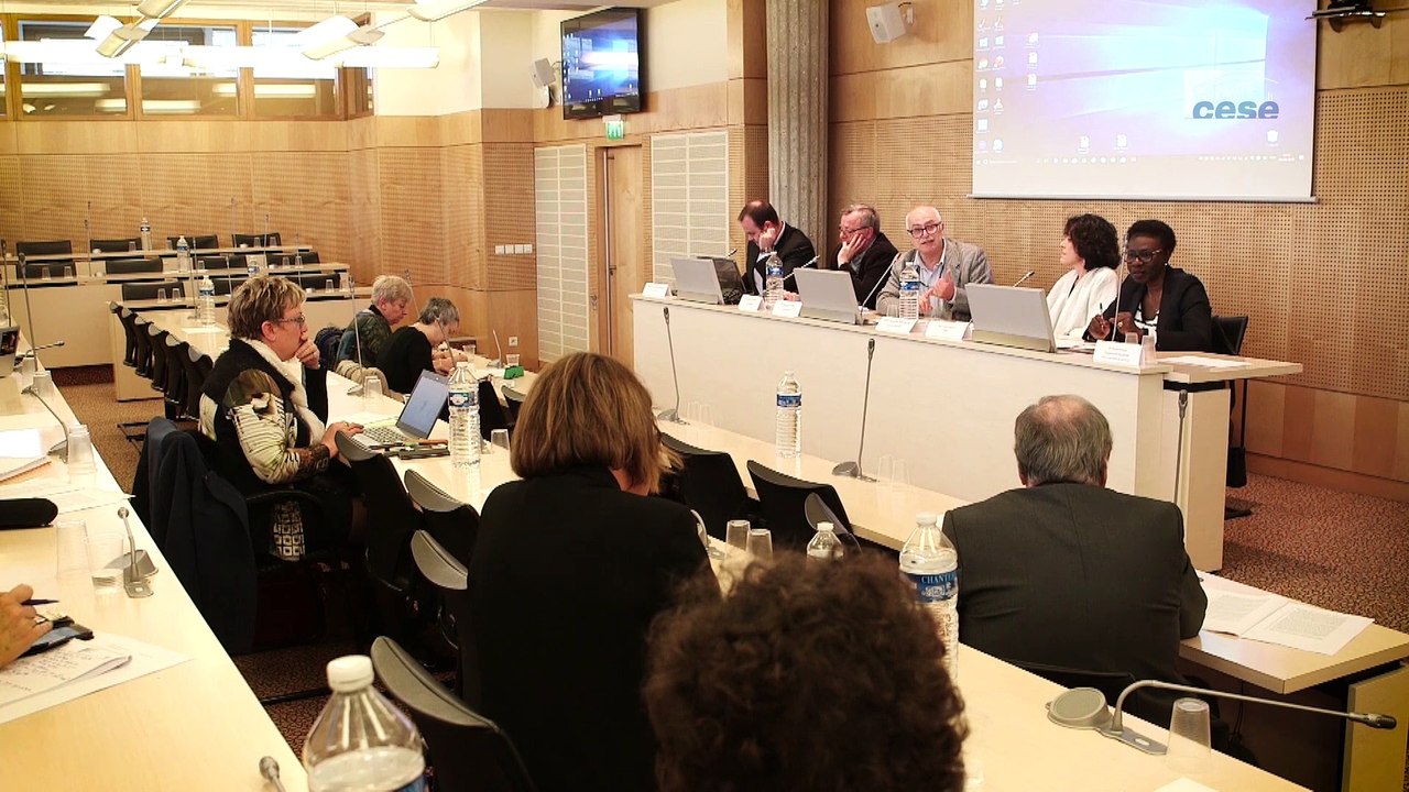 Questions à  Jérôme AUCORDIER (Le Colibri) - protection de l'enfance - cese