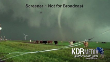 04-14-17 David Reimer⁄Paige Burress Dimmitt, TX Tornadoes