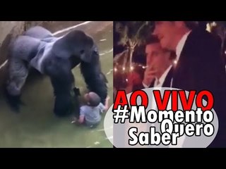 [AO VIVO] GORILA é morto p/ salvar criança | LUCIANO HUCK fumando | Em vegas com LAURA e JORGE?