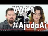 #AjudaAí Ep9: SOGRA VACA e MARIDO ESTÉRIL | Um problema CULTURAL | O que fazer?