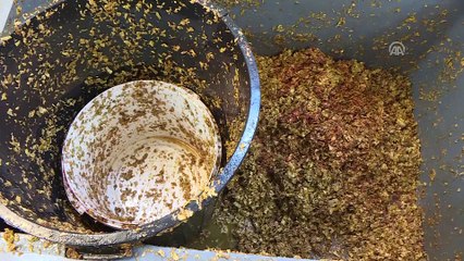 İzmir'de 5,5 ton kaçak nargile tütünü ele geçirildi