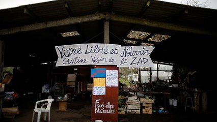 La Zad, un laboratoire écologique ?