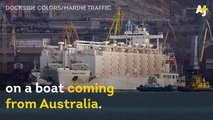 This undercover footage shows how thousands of sheep are being transported in horrific conditions on a ship.