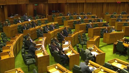 The debate on the banning of Guns continued in parliament today when the Police Minister Jelta Wong brought the Firearms amendment bill 2018 before parliament.