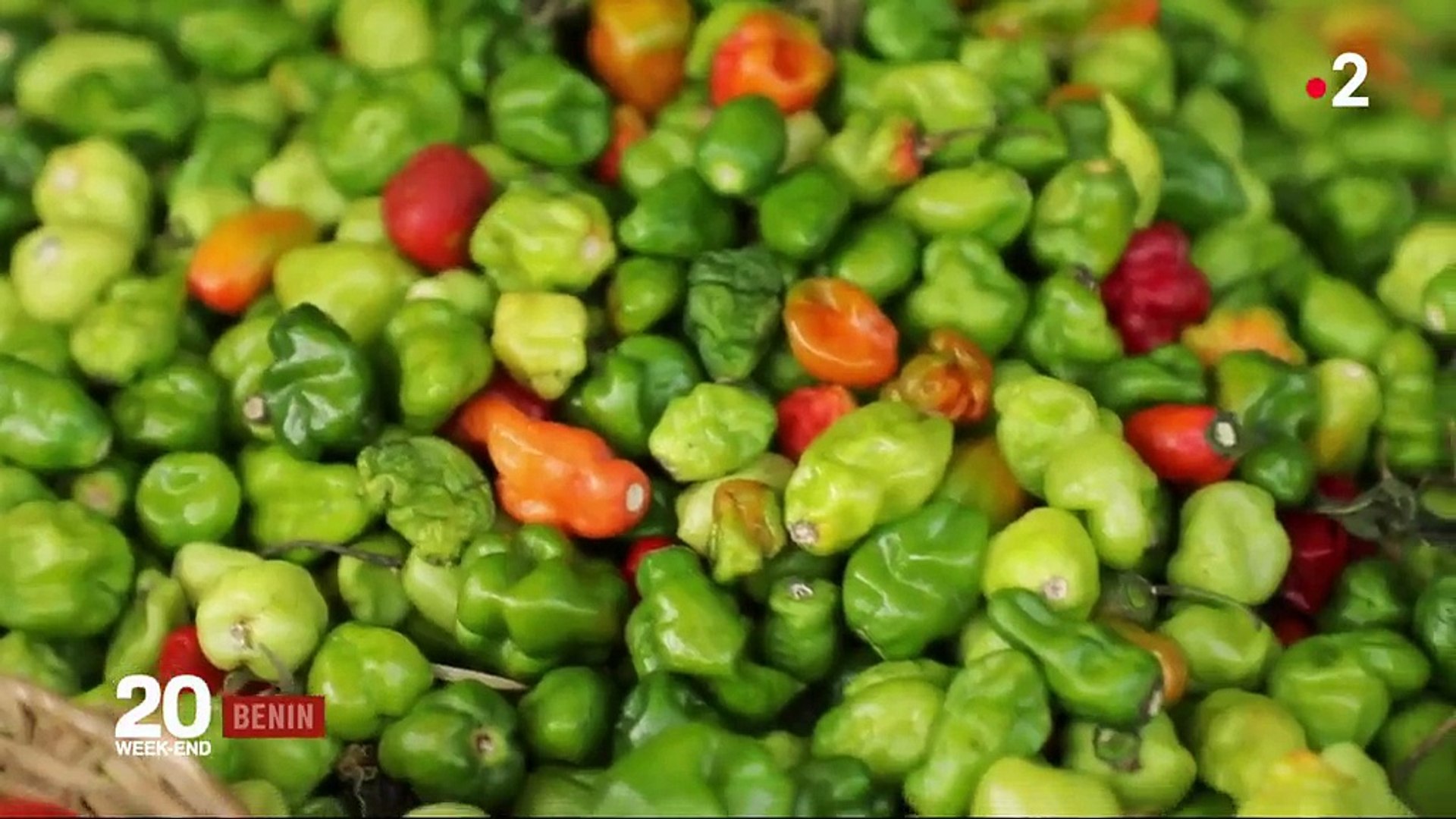 Bénin : tourisme en immersion chez l'habitant