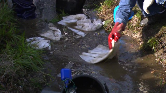 대전 대한송유관공사 기름 유출, 초동 대처 미흡 / YTN