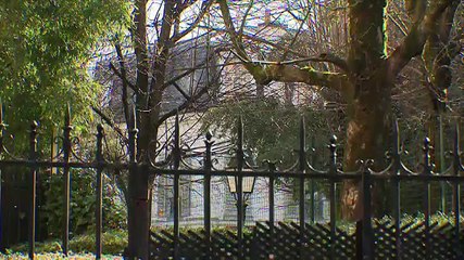 Julie Jacob : " Le tribunal a donné gain de cause à David et Laura sur l'aspect patrimonial et gain de cause à Laeticia sur l'aspect artistique "