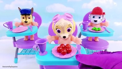 Paw Patrol Baby Dolls Feeding Fun Pretend Play Video for Kids and Toddlers