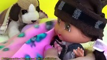 Baby Dora Aventureira apronta no banho de Amoeba Em Português – Galinha Pintadinha brinquedos