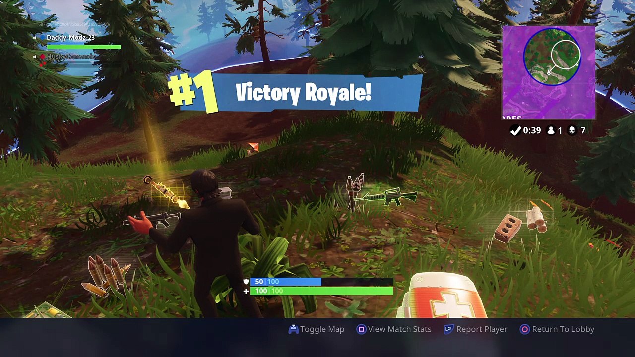 Fortnite_20180413165506