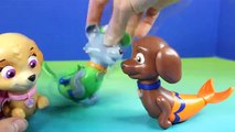 Paw Patrol Shark Attack Chase Marshall Rocky Skye Rubble Become Mer Pups Learn Colors Learn Painting