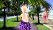 Novelinha da Barbie em Portugues - Diário da Barbie Amor a Primeira Vista