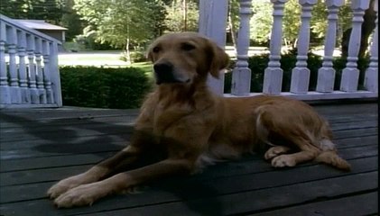 Goosebumps S02E16 More Monster Blood Part Iı