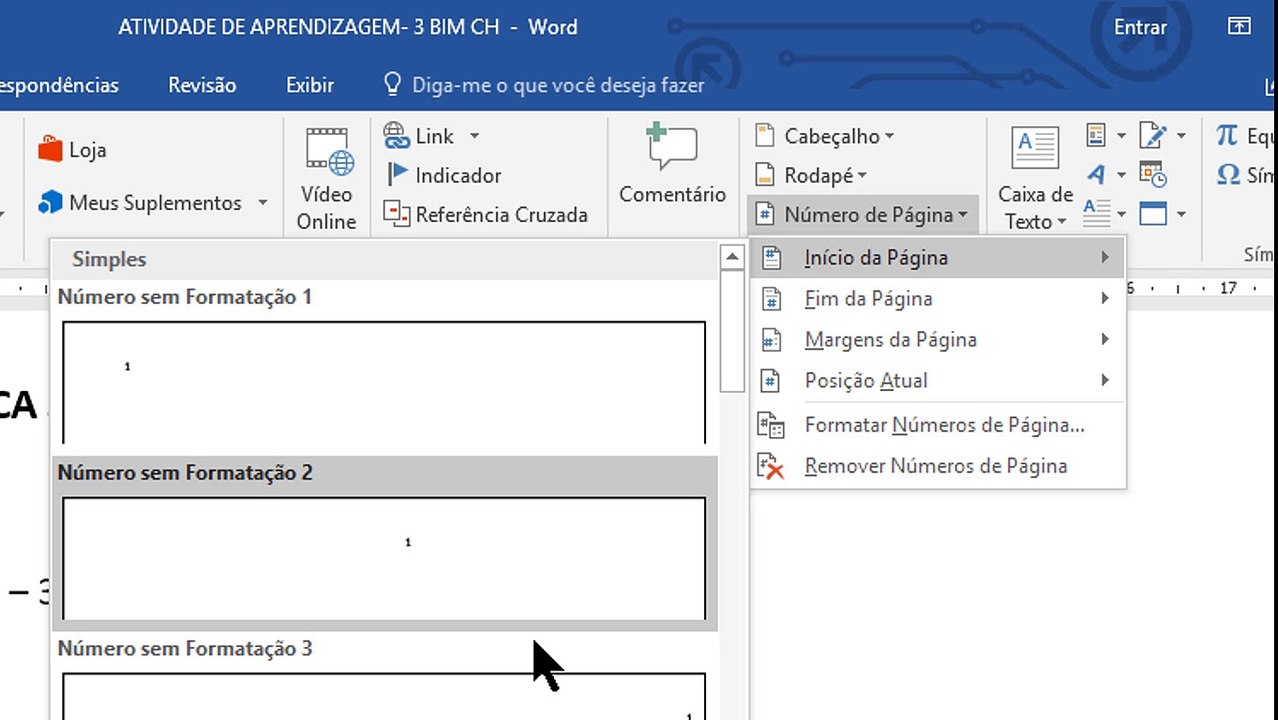 No Menu Inserir Do Word Temos As Opções Exceto