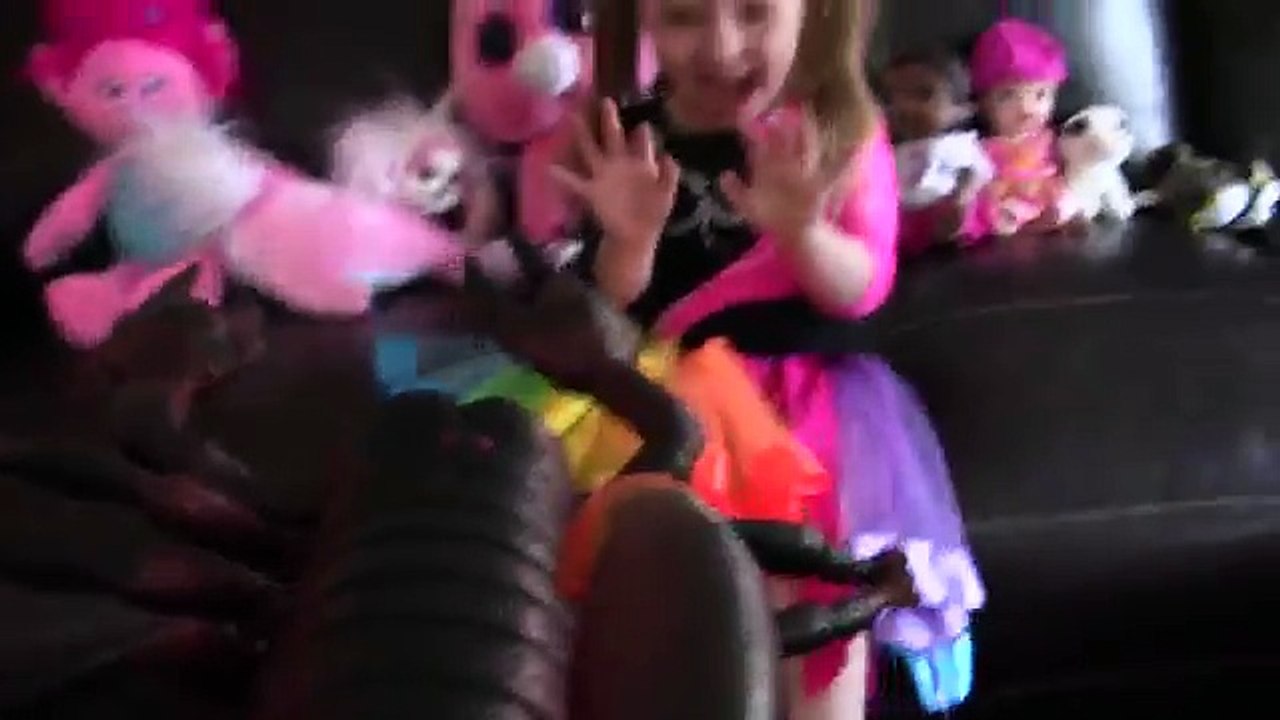 Kaias NEW PET! Surprise box with PET inside. SCARY animal. The Toytastic Sisters