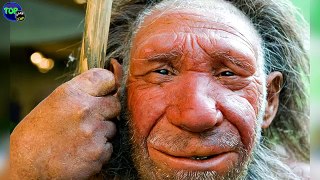 5 Sorprendentes Teorías Sobre Los Neandertales